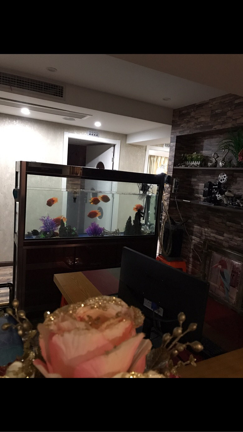 ��Щ�������ˣ�