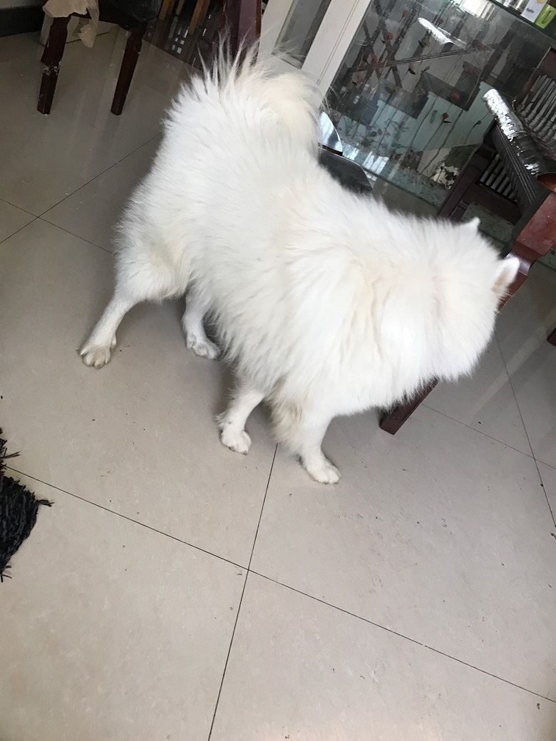 ��ĦҮ