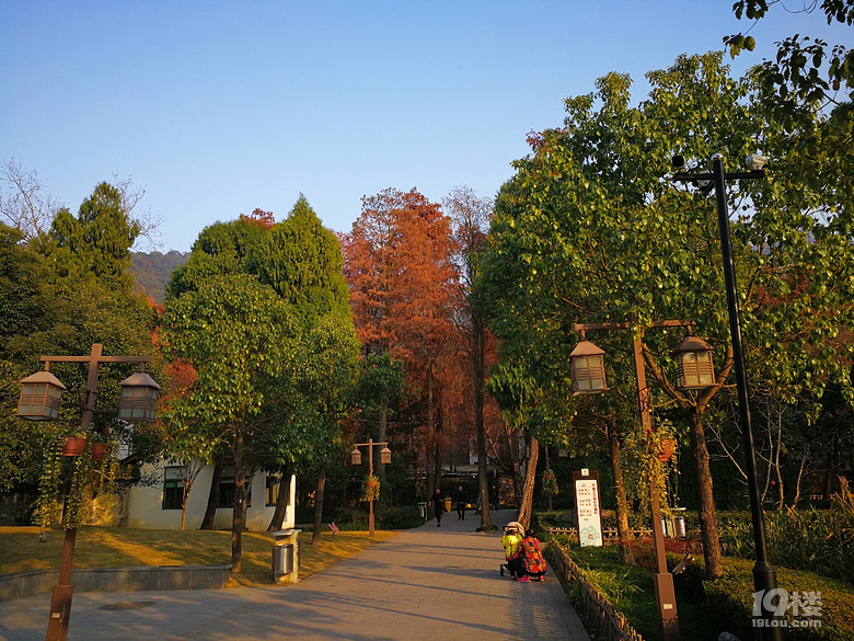 黃岩九峰公園冬日掠影