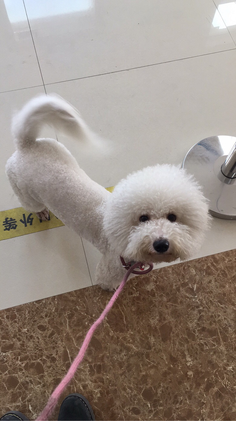 �ҹ��ҹ���лл��