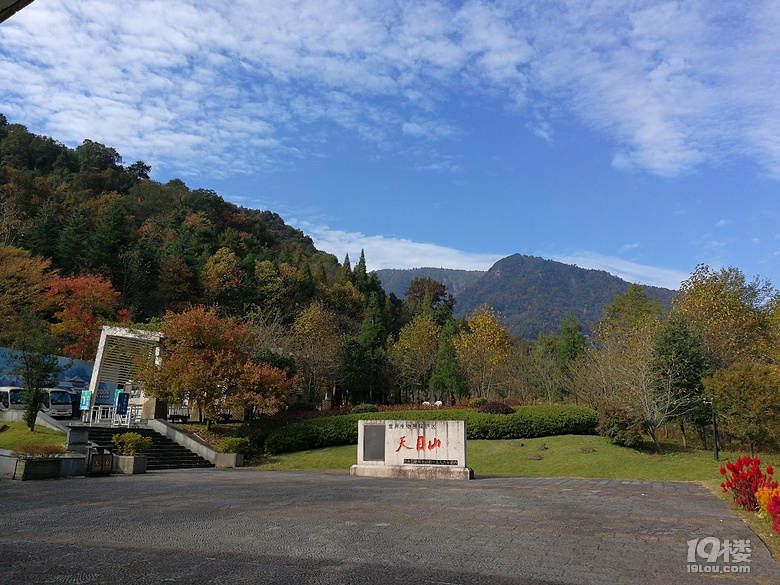 臨安西天目山大樹王景區