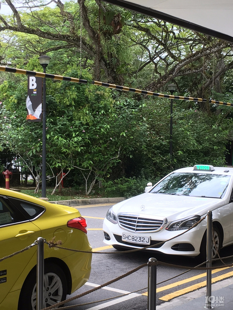 新加坡的出租车居然都是奔驰实在是厉害