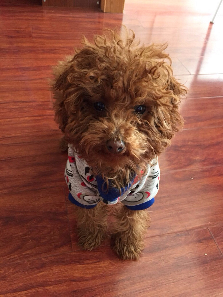 ̨�ݣ��������Ҹ�ŮŮ