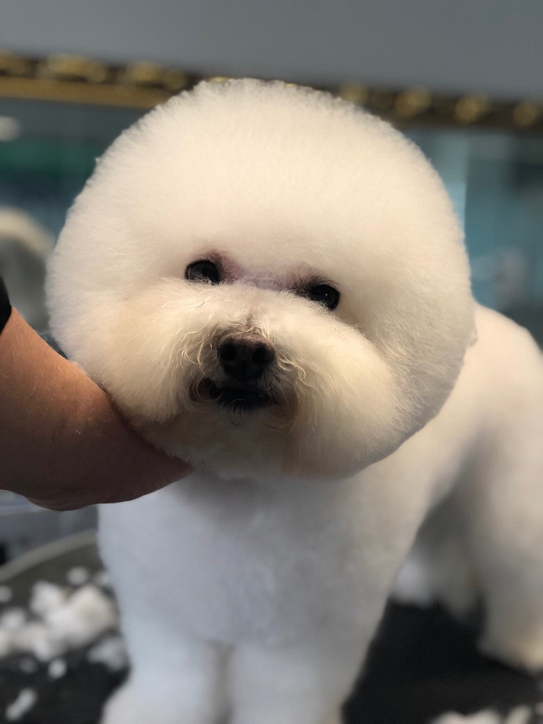 �ȳ��Ʒ �ȳ� ��������