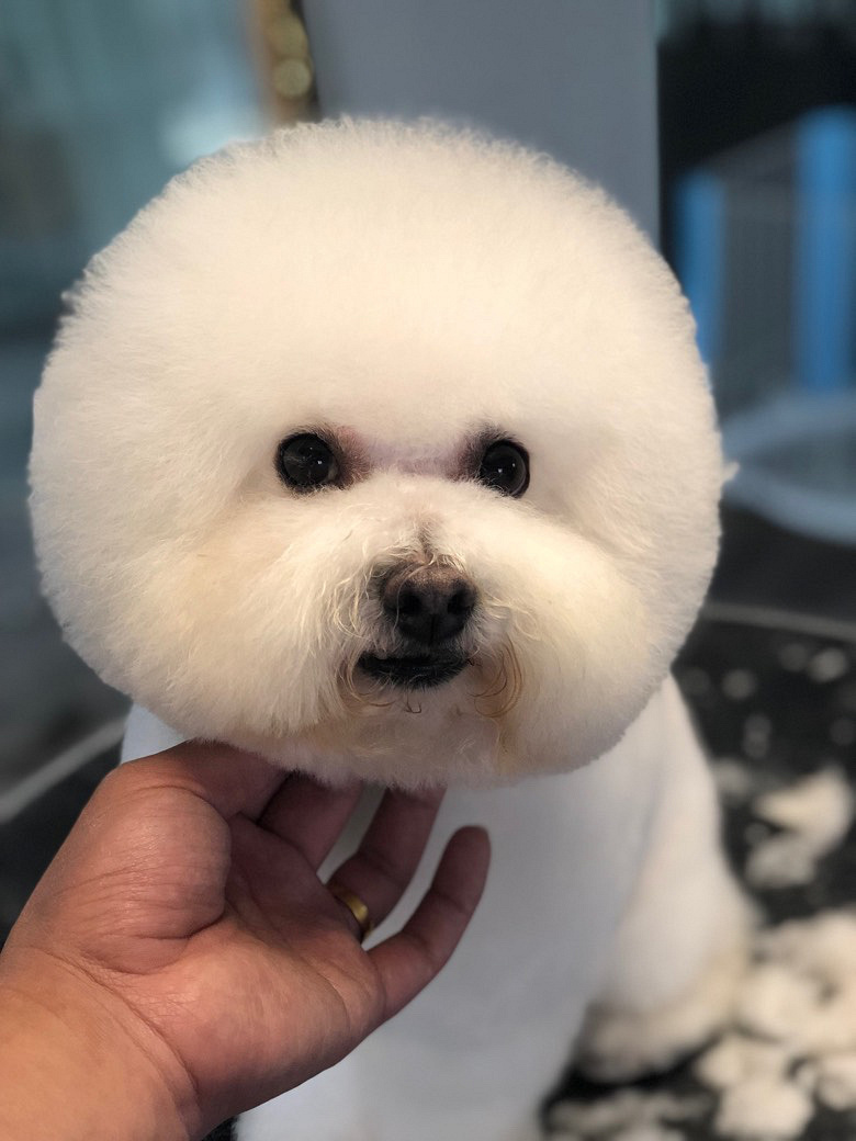 �ȳ��Ʒ �ȳ� ��������