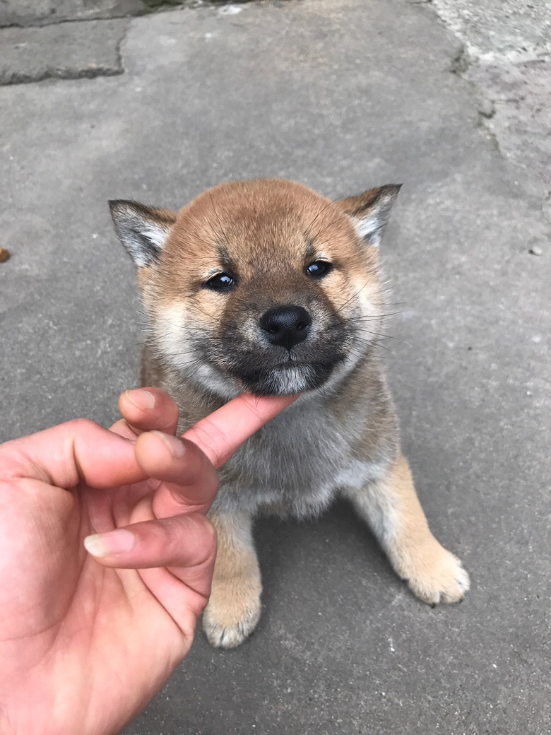 2018�����ȳ�