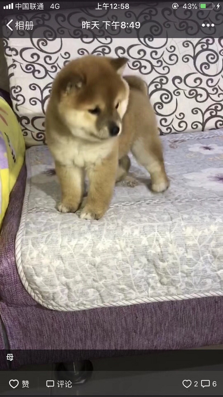 2018�����ȳ�