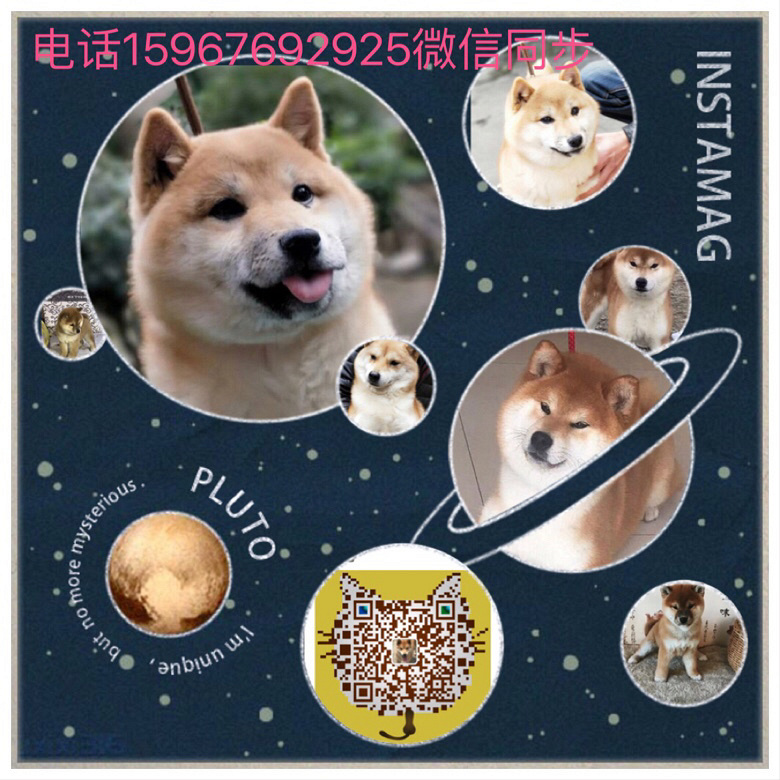 2018�����ȳ�