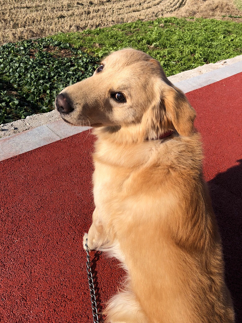 �Լ�һ����ëת��