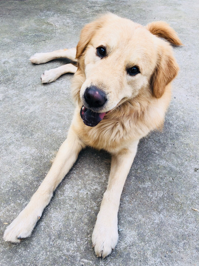 �Լ�һ����ëת��