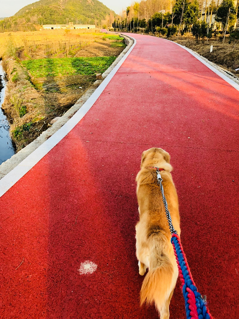 �Լ�һ����ëת��