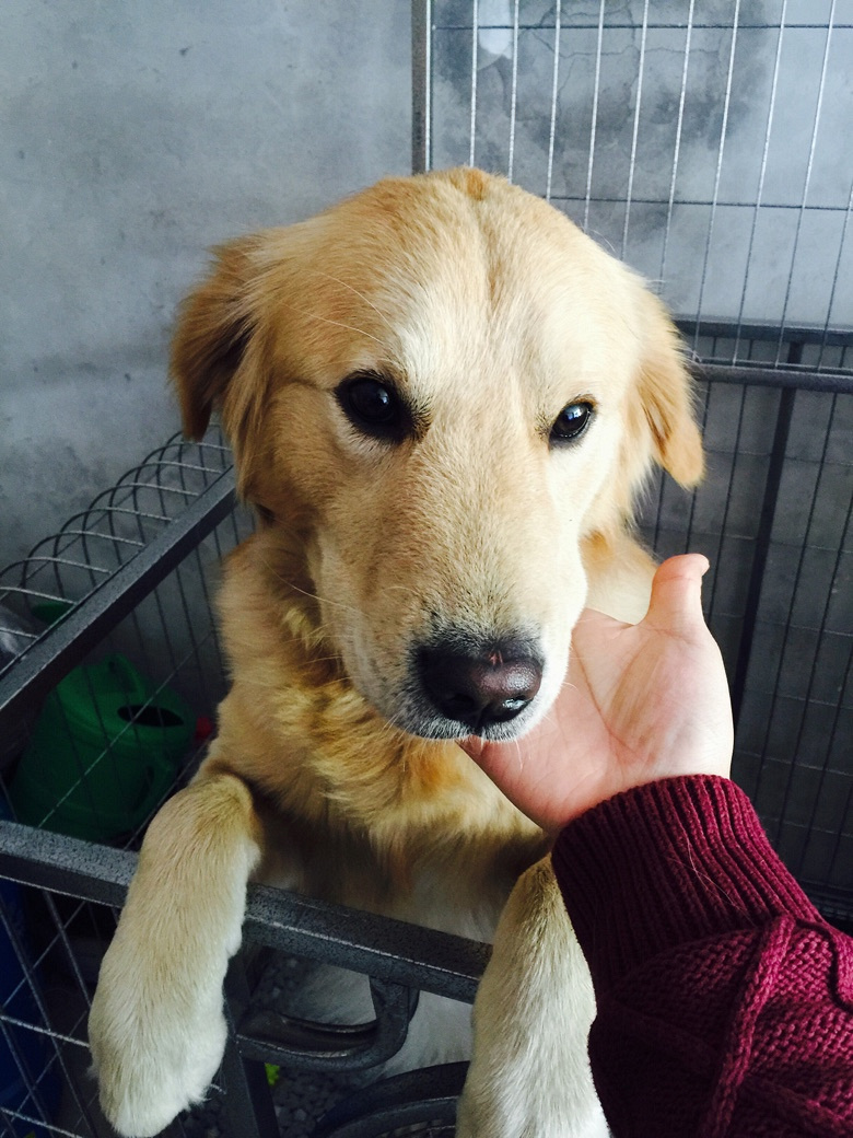 �Լ�һ����ëת��