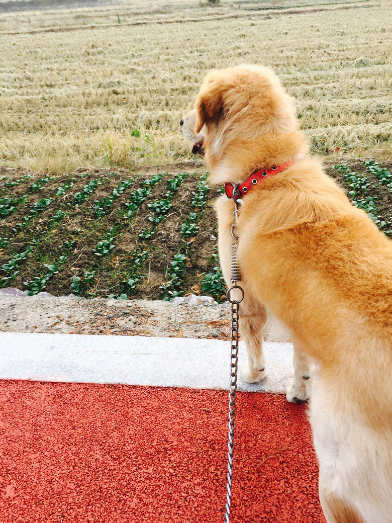 �Լ�һ����ëת��