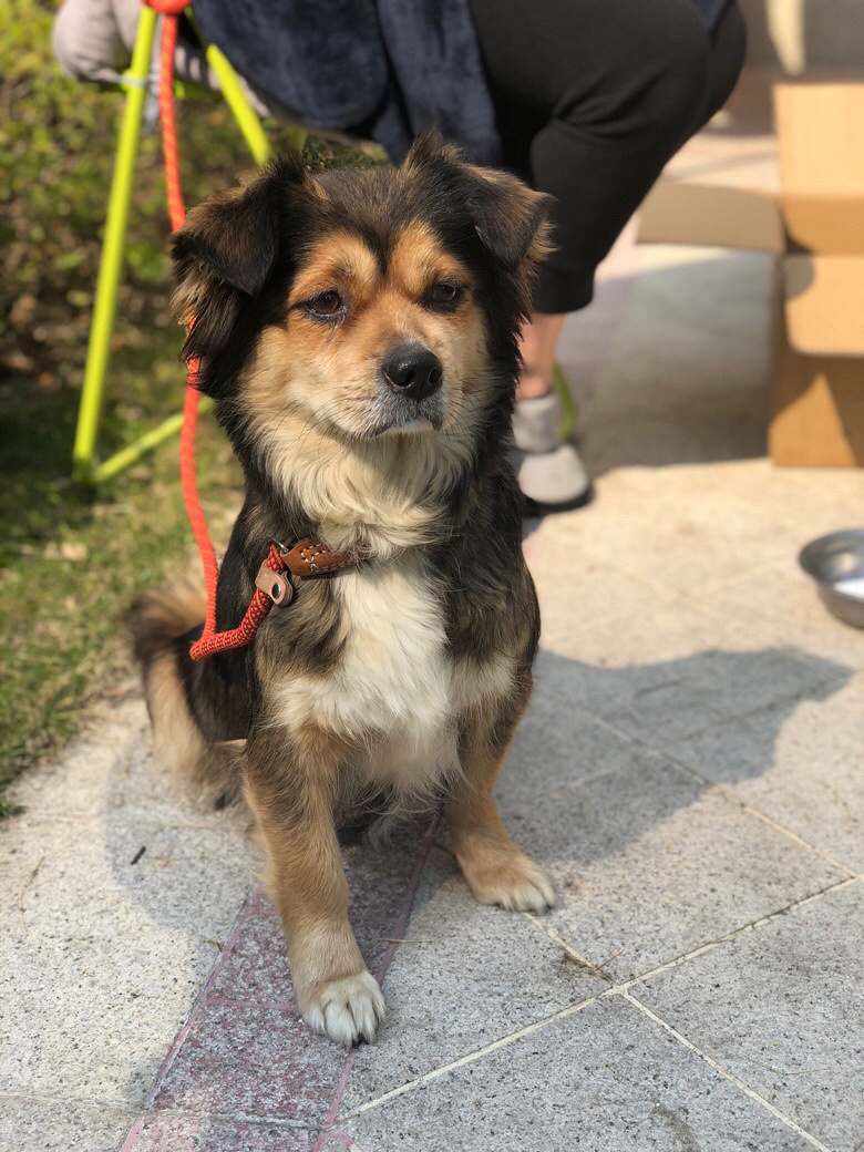 ����С�̹�������