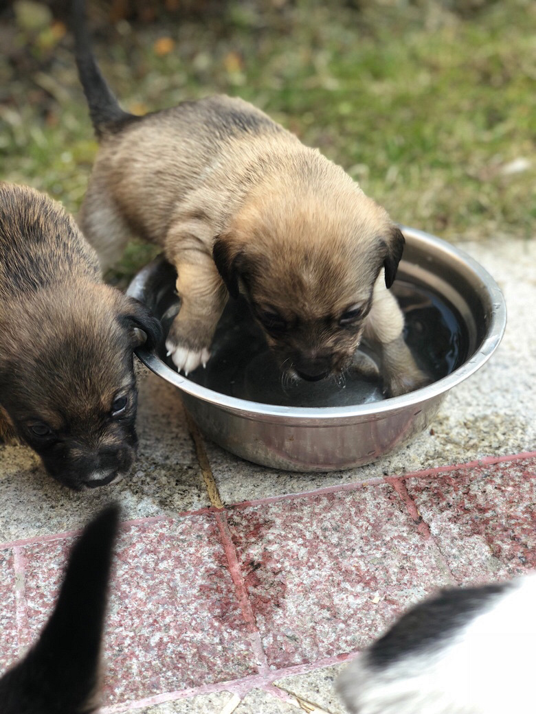 ����С�̹�������