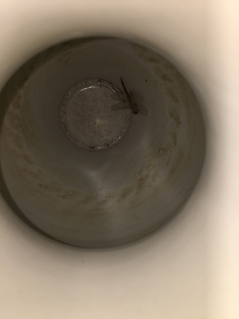 �念�������ƿ