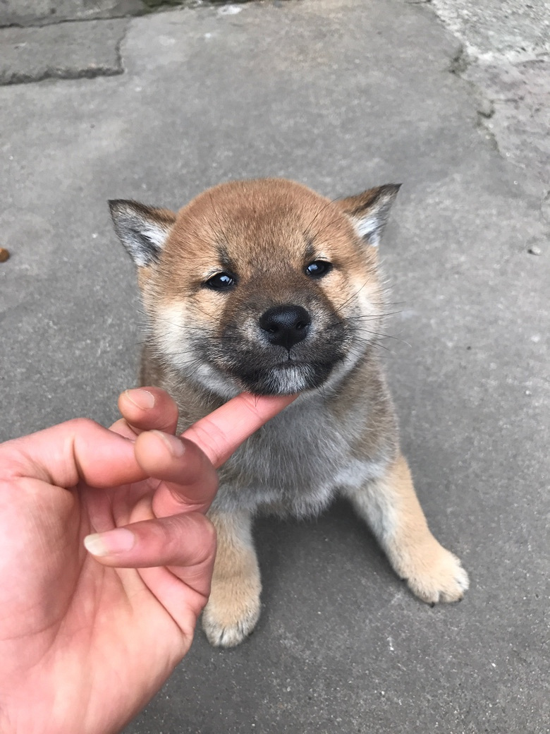 ̨�ݾ�Ʒ��Ȯ