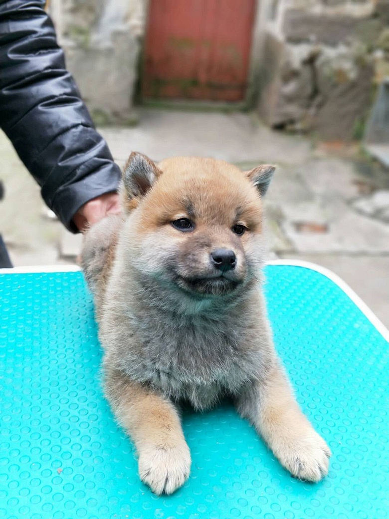 ̨�ݾ�Ʒ��Ȯ