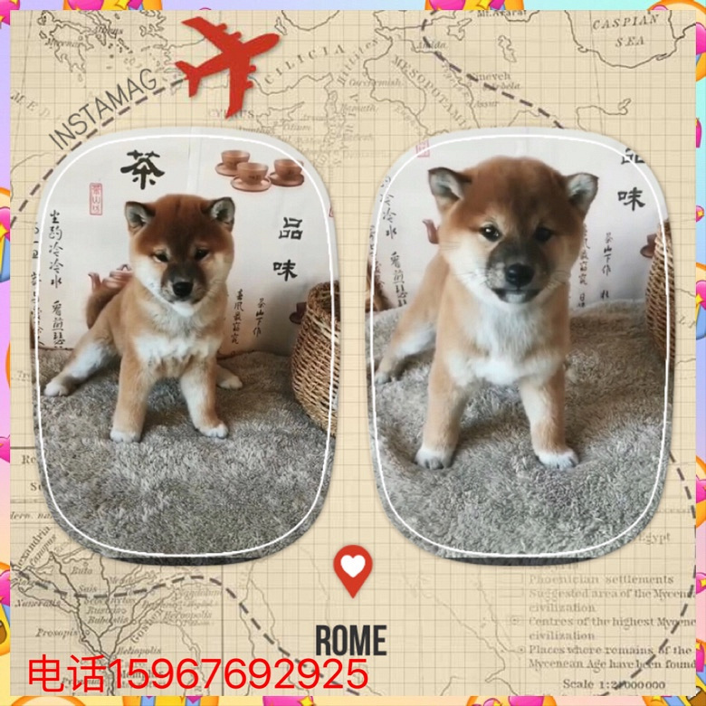 ̨�ݾ�Ʒ��Ȯ