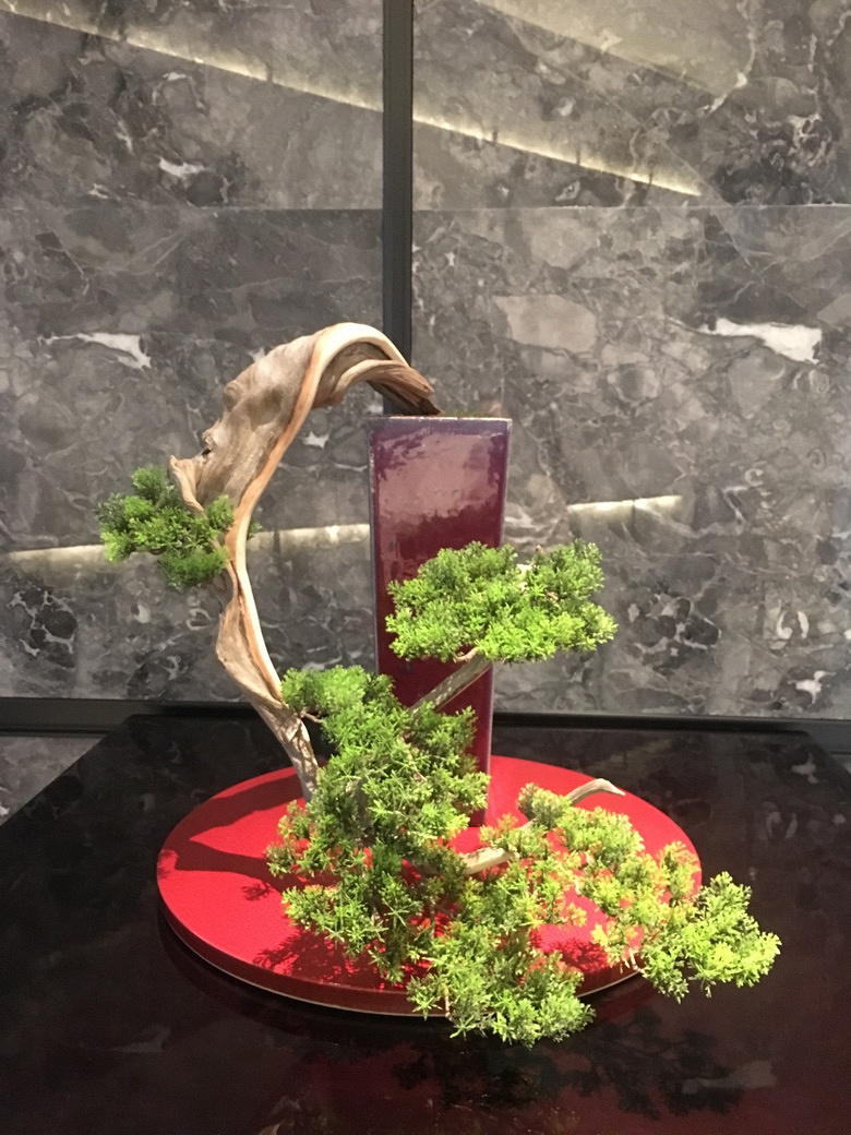 �ҵ����մ�û��������