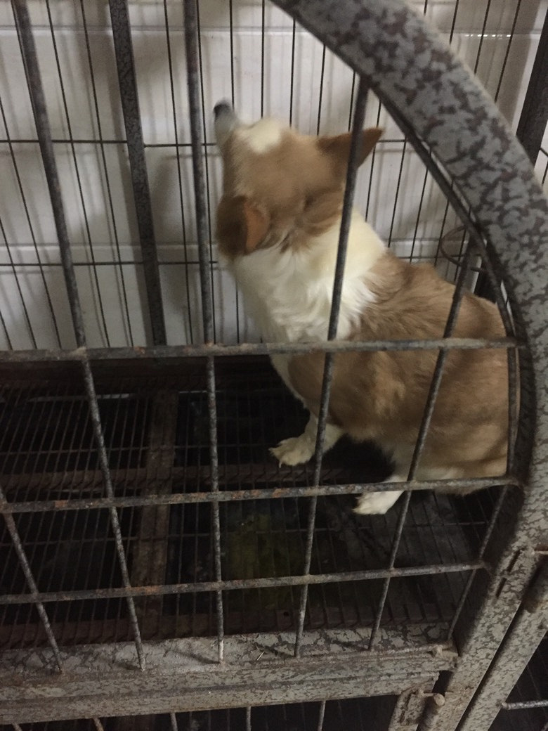 �»���ĸ����