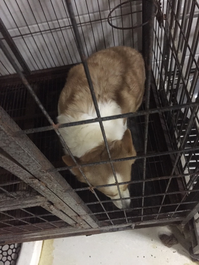 �»���ĸ����