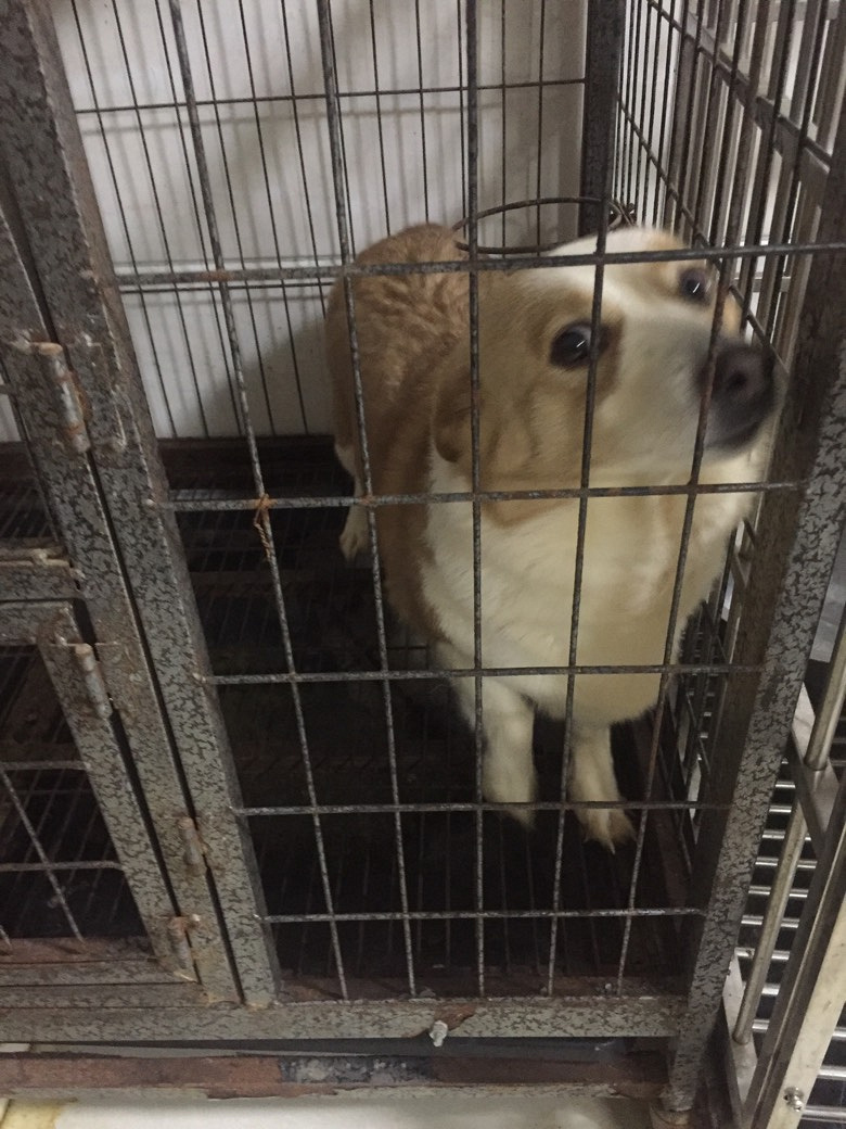 �»���ĸ����