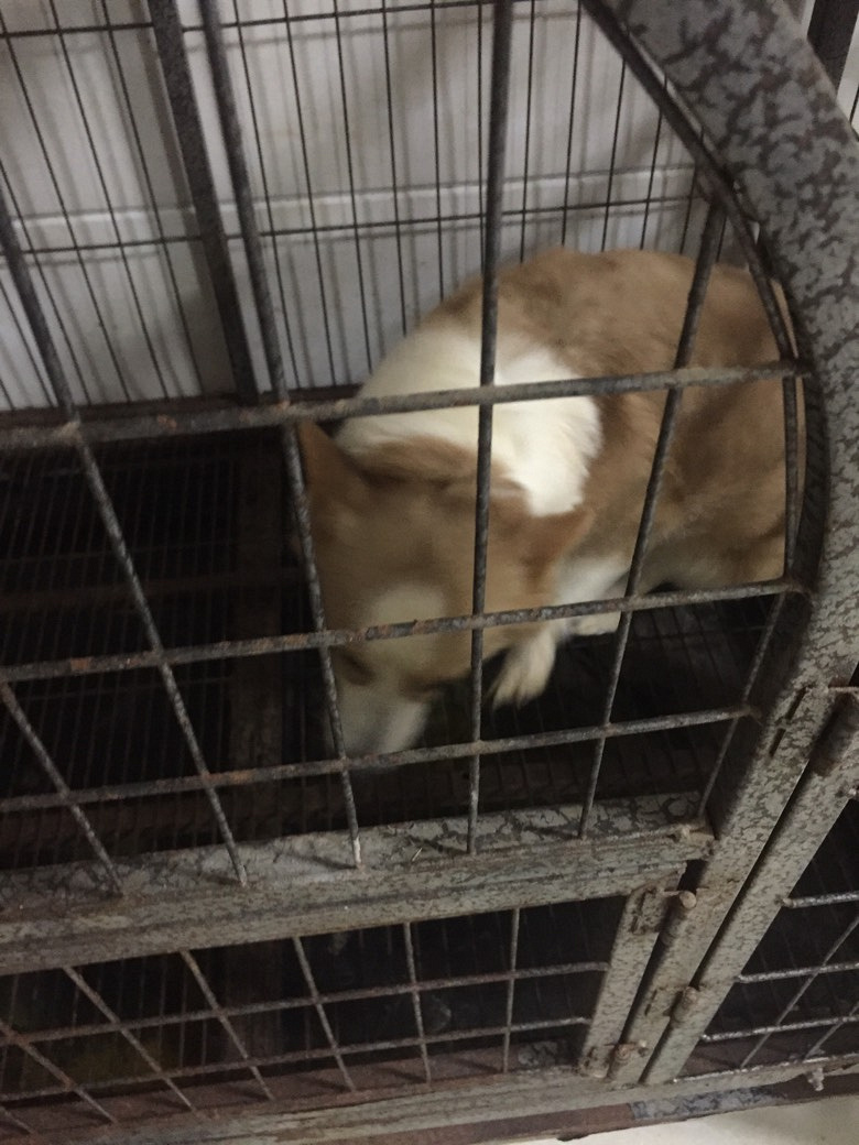 �»���ĸ����