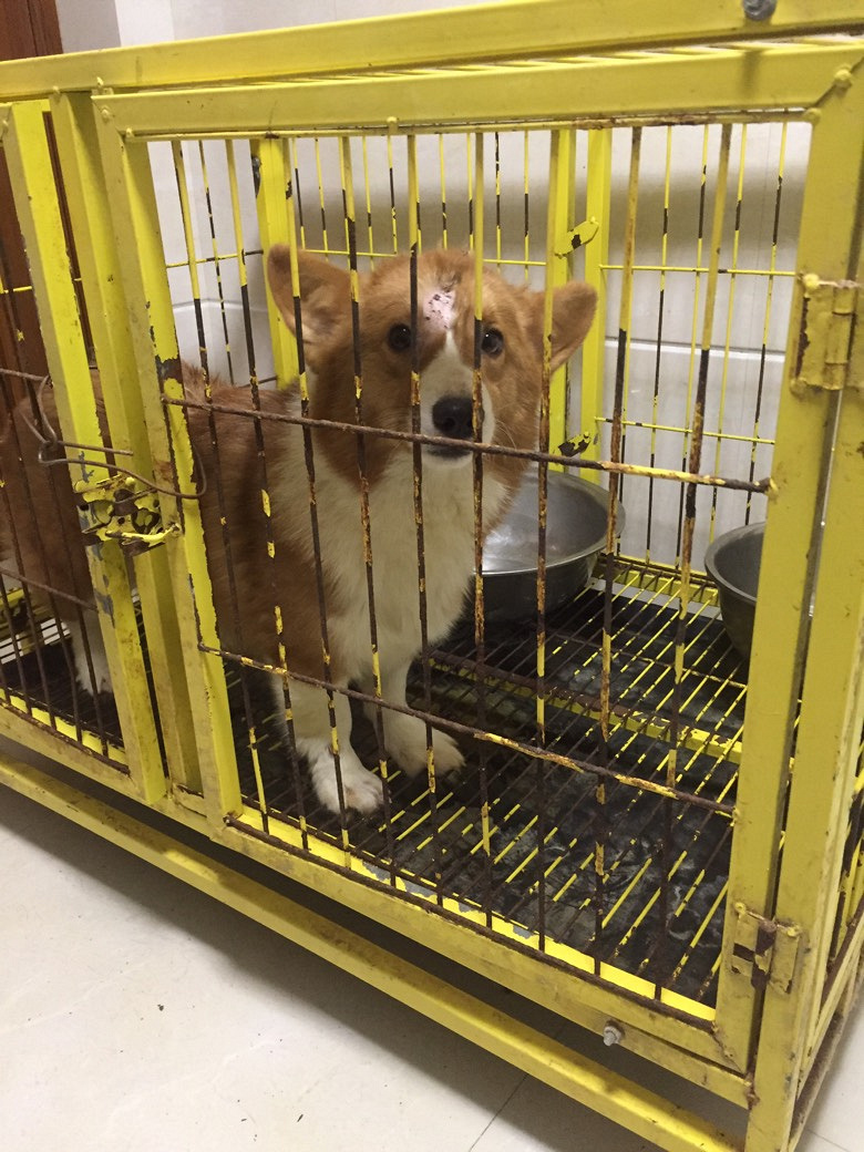 �»���ĸ����