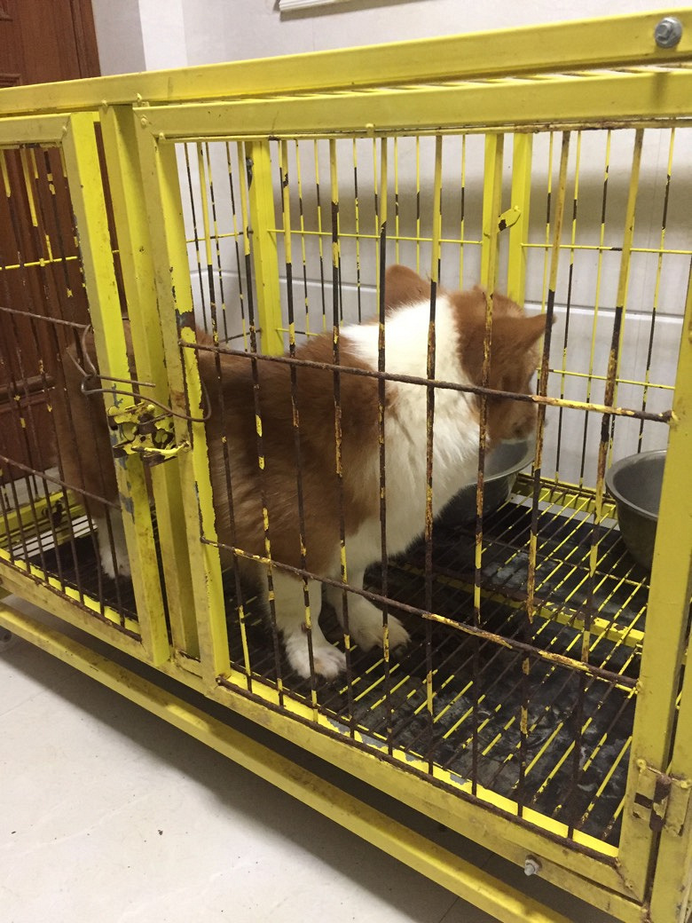 �»���ĸ����