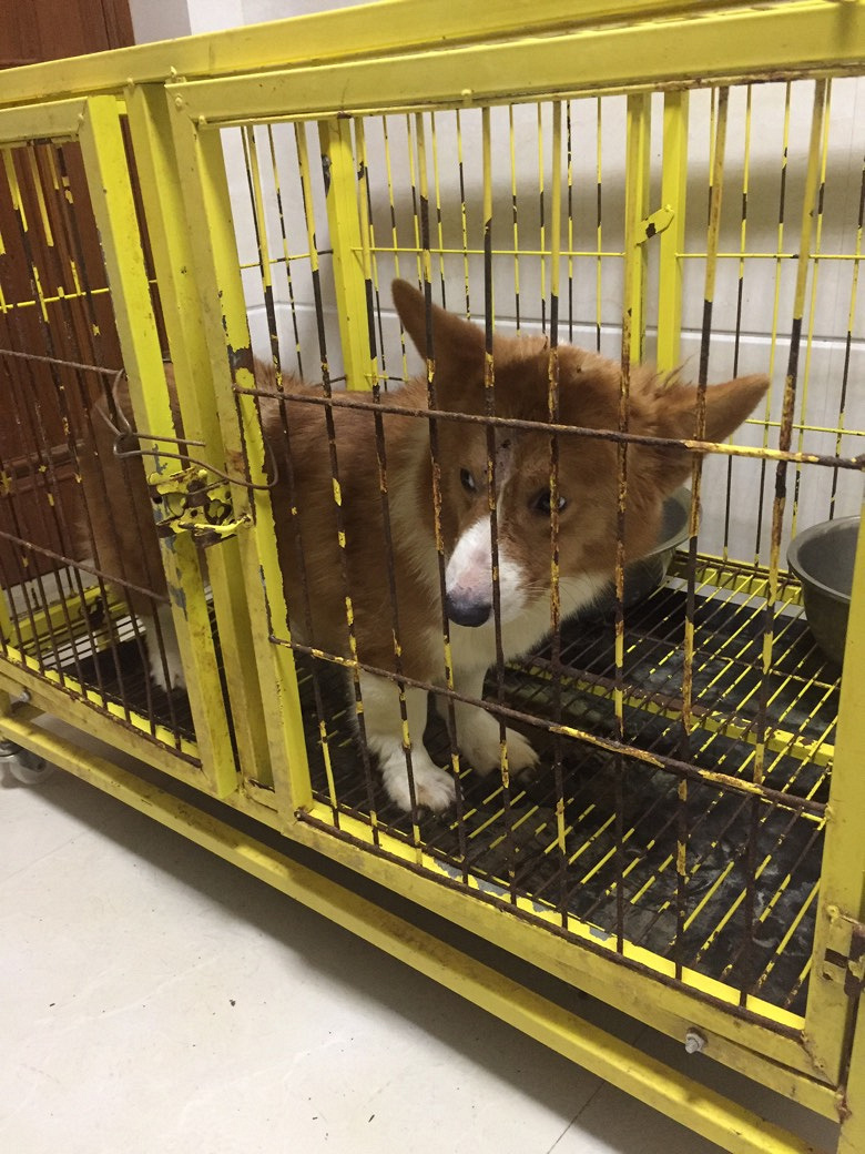 �»���ĸ����