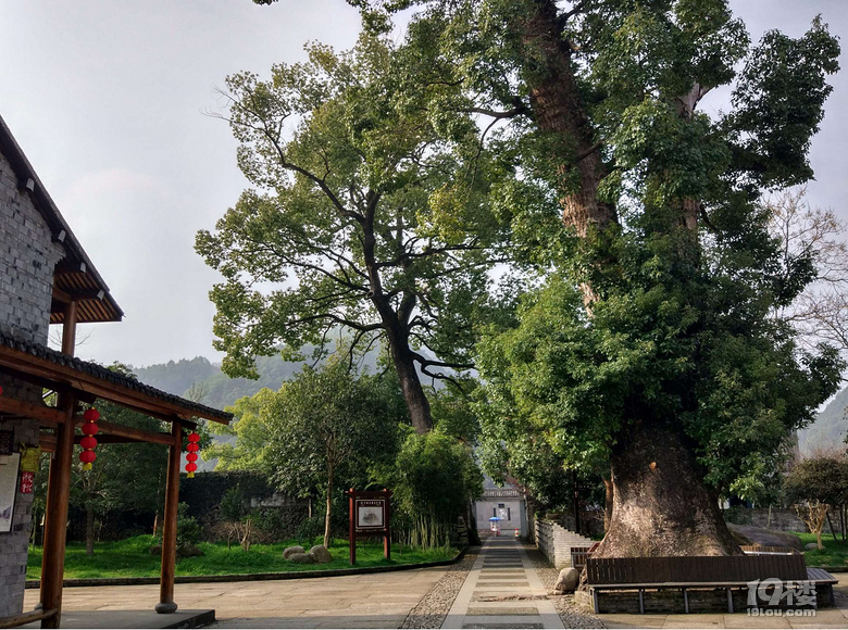 早春里的屿头乡山村-游记攻略-台州旅游-台州19楼