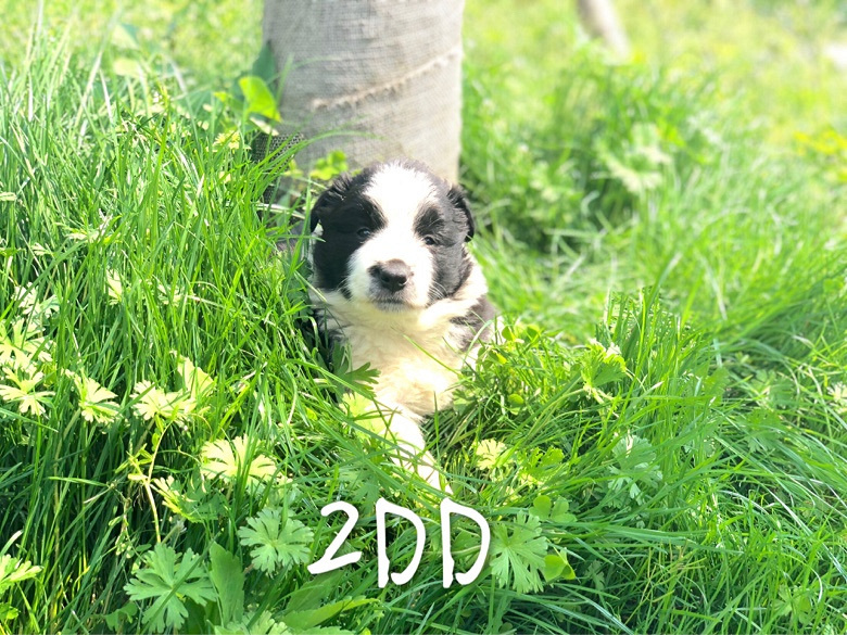����������һ�Ĺ�����������С�����ۣ�