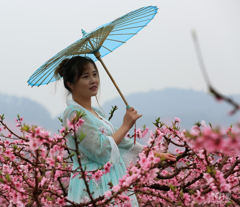 白水洋桃花节时间图片