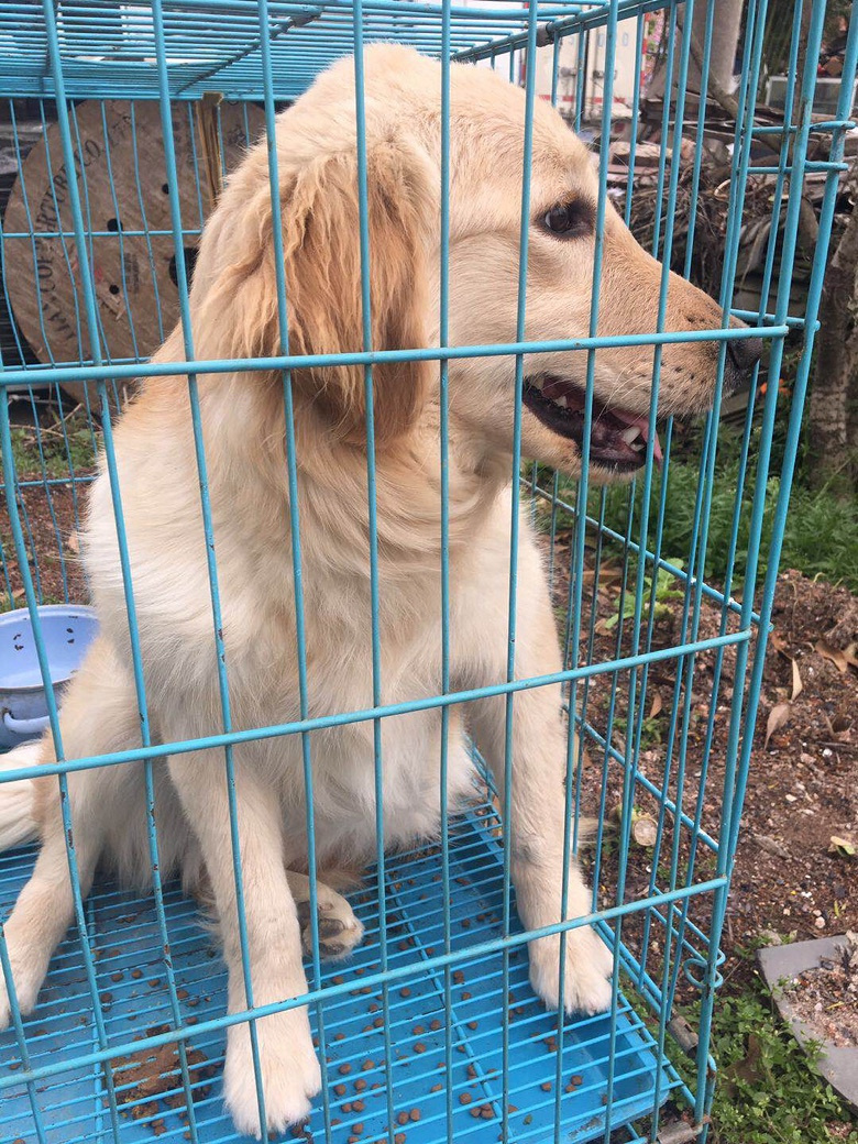 �˸��½�ë��С�ͳ��ﹷ������ۣ�