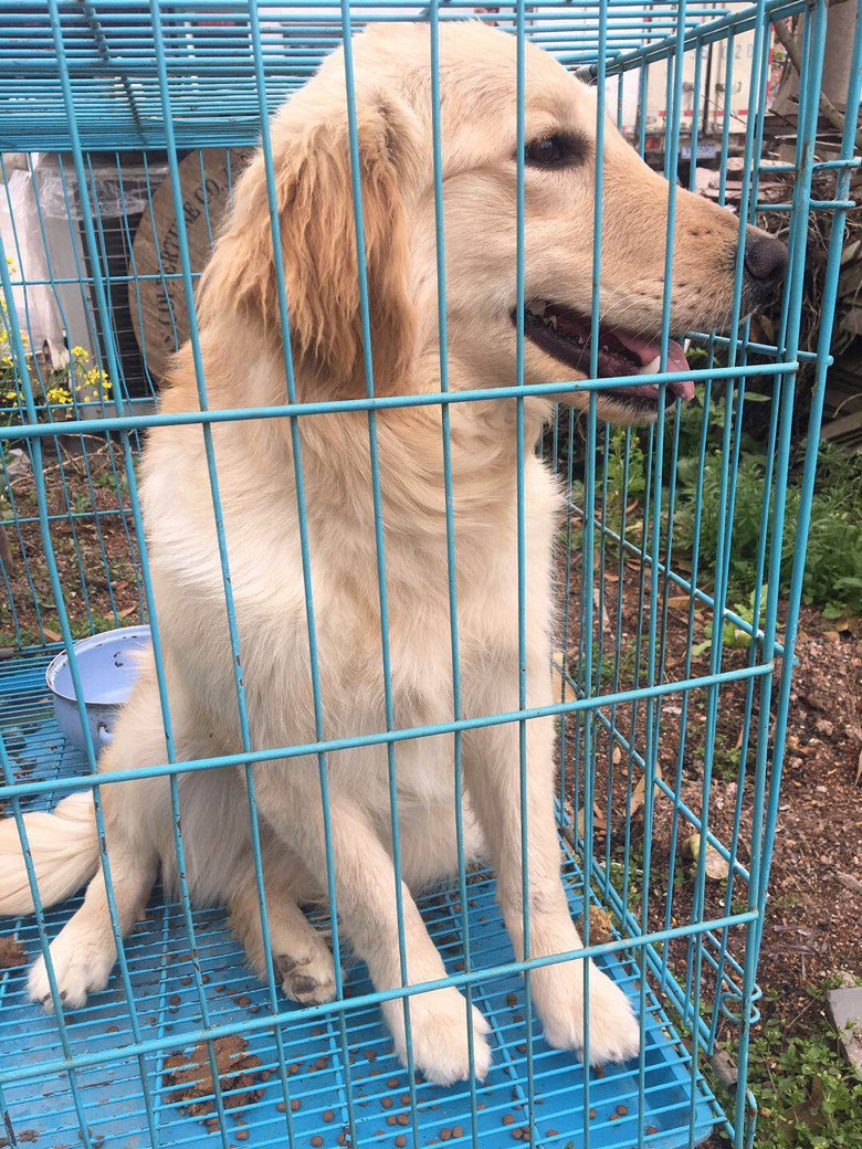 �˸��½�ë��С�ͳ��ﹷ������ۣ�