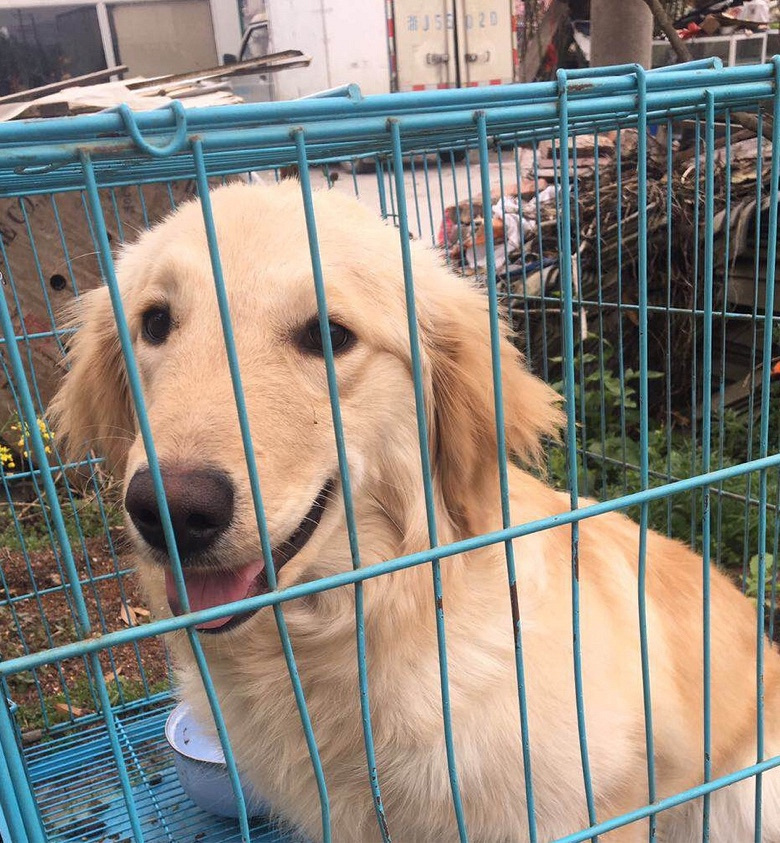 �˸��½�ë��С�ͳ��ﹷ������ۣ�