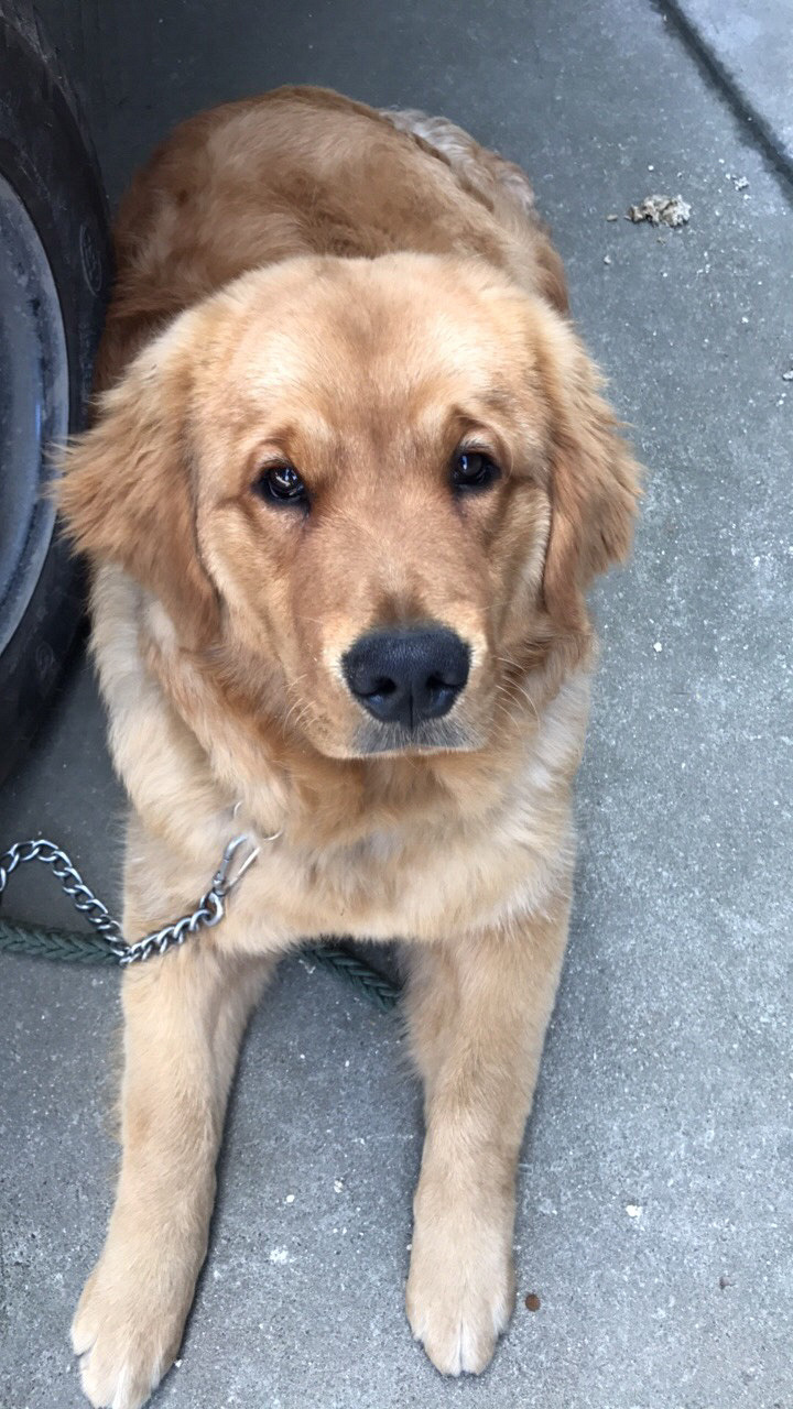 ����������û��һ���޹���