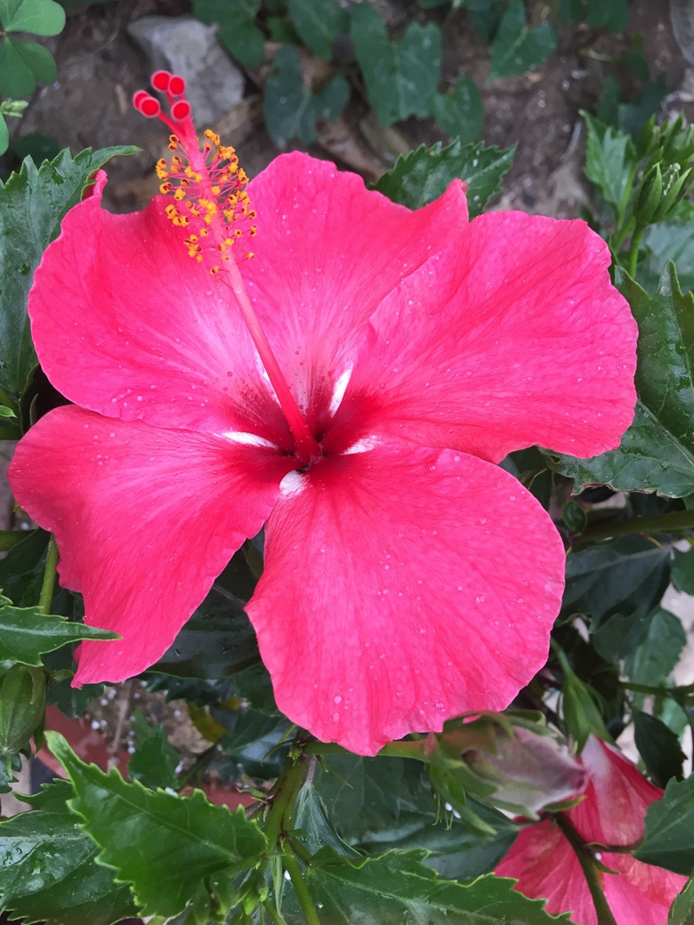 ���ӽ����â����ѿ