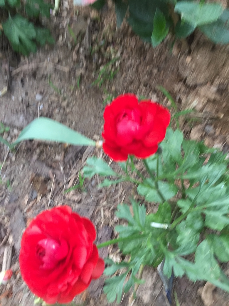 ���ӽ����â����ѿ