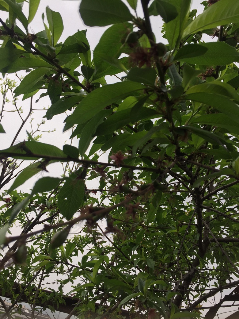 ���ӽ����â����ѿ