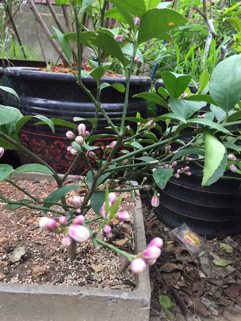 ���ӽ����â����ѿ