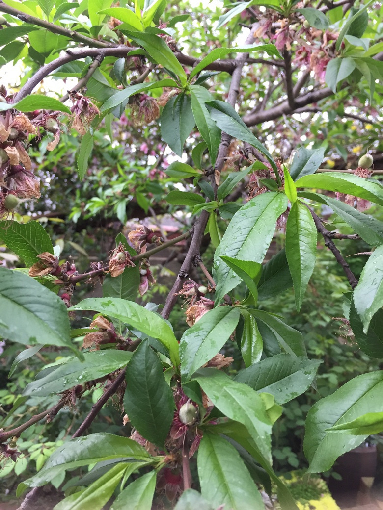 ���ӽ����â����ѿ