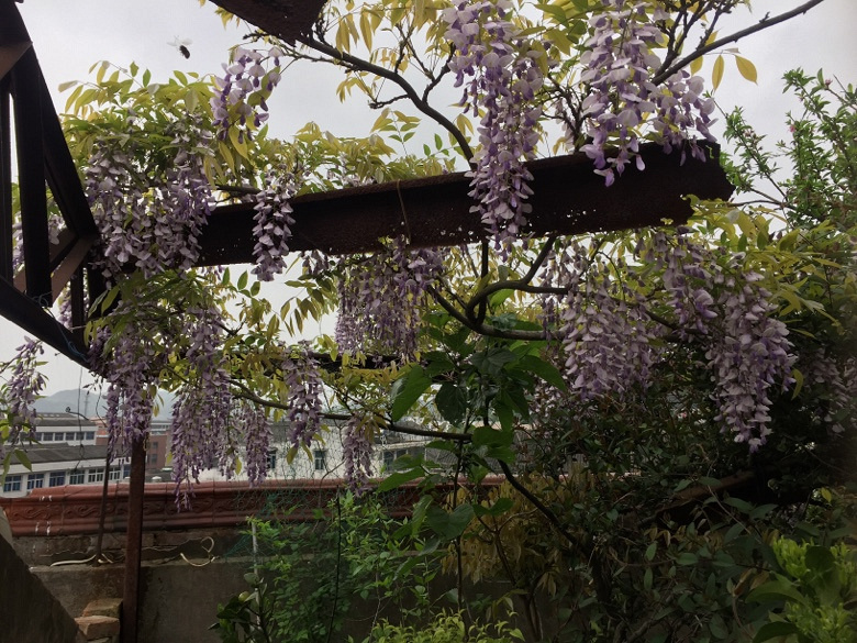 ���ӽ����â����ѿ