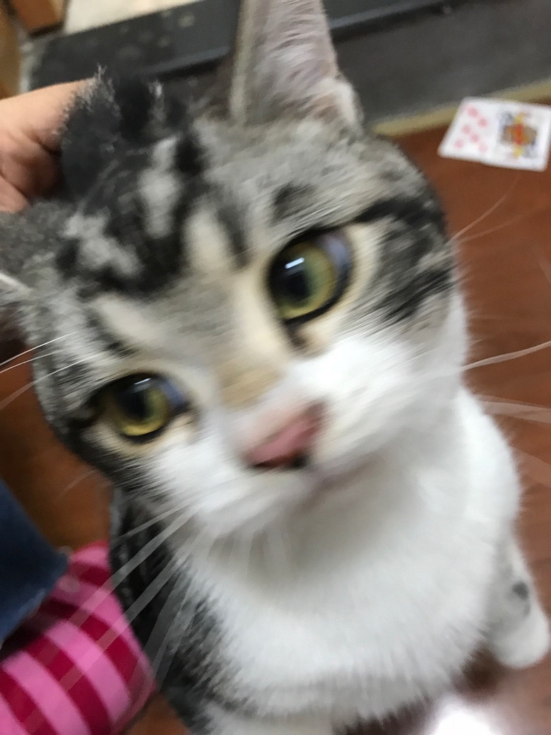 ���̼Ӱ���Ů���ѣ�
