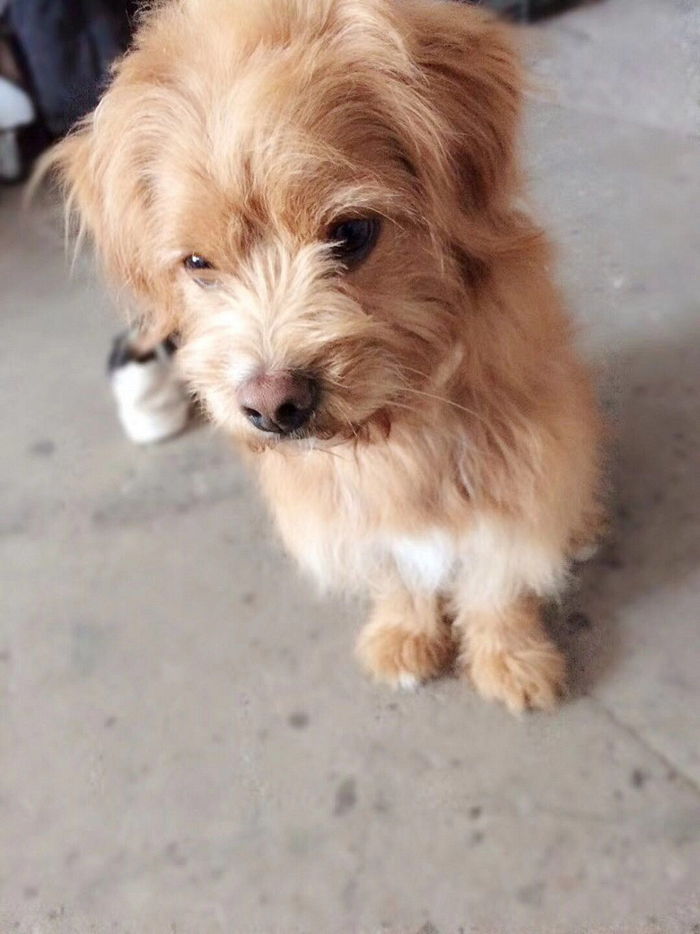 ���������Ѱ������ʿ������ܶ���Ѱ��