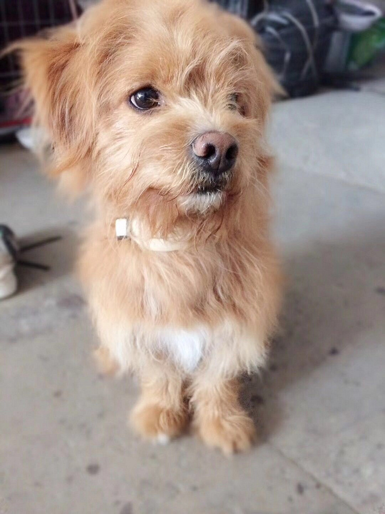 ���������Ѱ������ʿ������ܶ���Ѱ��