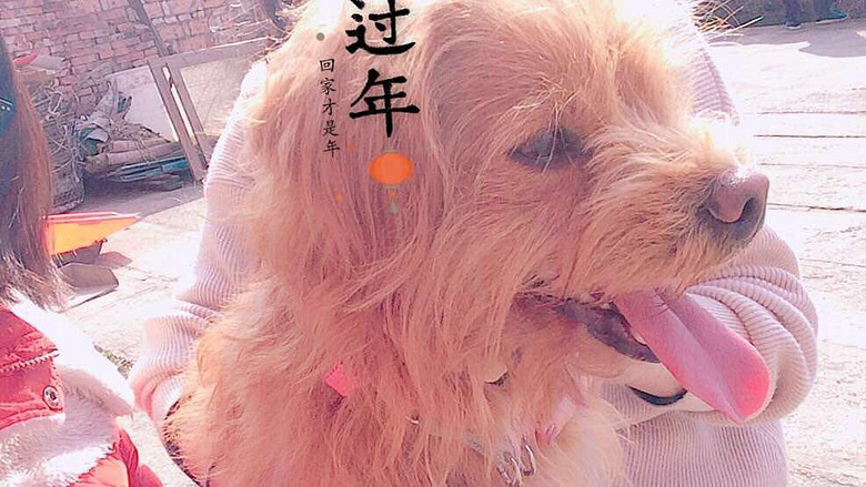 ���������Ѱ������ʿ������ܶ���Ѱ��