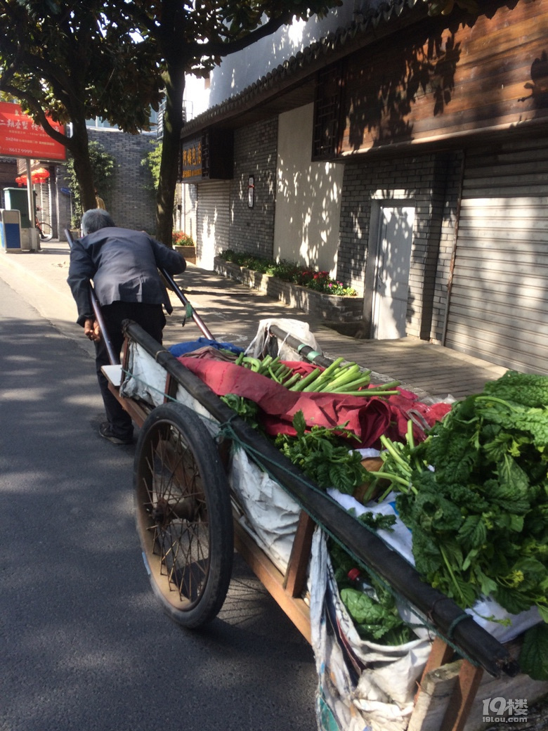 【爆料】厉害了勤劳的阿公,这么大年纪了还拉车去卖菜