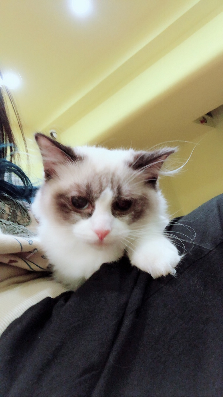 ����С��